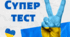 Річна контрольна робота з математики 5 клас ШУШ