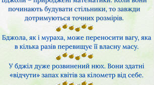 До Дня бджілки