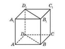 08010g7k-3628-220x166.png