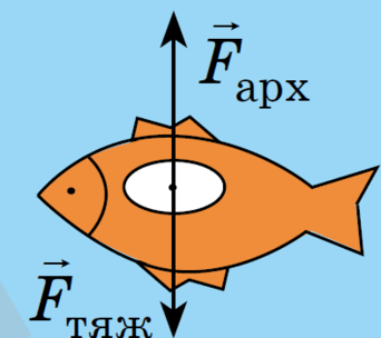 08010kdr-fb0c-393x349.png