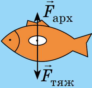 08010key-3ffa-356x340.png
