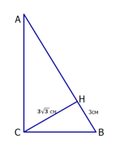 08010lsf-9d3a-168x207.png