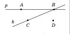 08010r0f-ecea-145x70.png