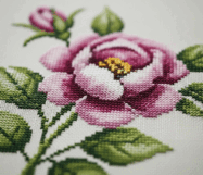 08010r8h-9e44-187x161.png
