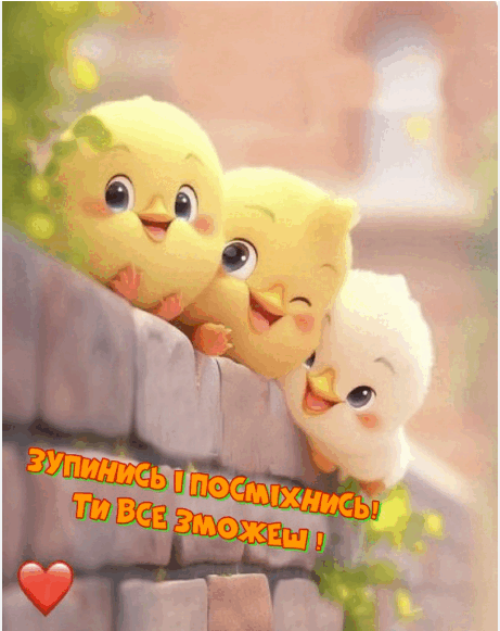 08010r8v-496b-461x581.png