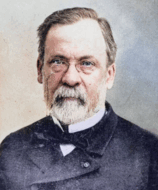 08010sp6-3676-158x190.png