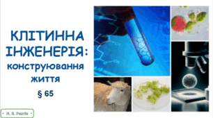 Презентація на тему "Клітинна інженерія". 9 клас