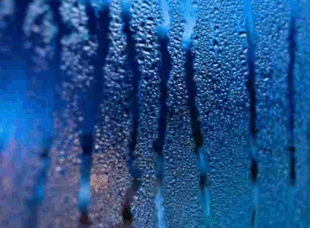 08010tri-d287-196x144.png