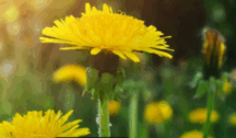 08010u7v-67f7-216x126.png