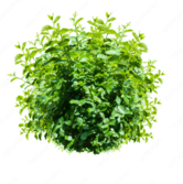 08010u86-712a-166x167.png