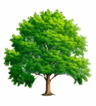 08010u8m-4b67-137x150.png