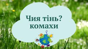 дидактична вправа "Чия тінь? комахи" (відео)