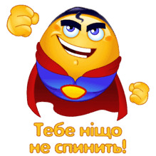 080113ds-b241-219x219.png