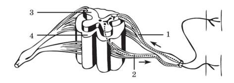 080115on-b54c-472x168.png
