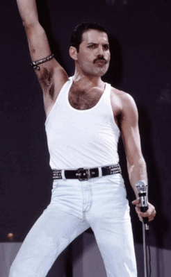 080115ze-2975-246x399.png