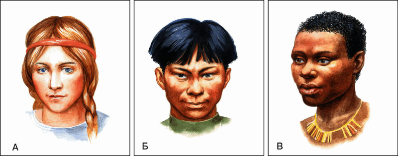 080116v6-989d-800x315.png