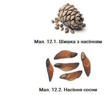 0801177z-e185-352x308.png