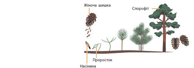 08011783-d57c-666x234.png