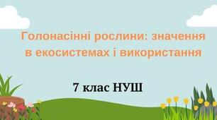 Голонасінні рослини: значення в екосистемах і використання