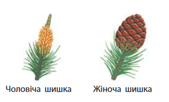 080117c7-0c9d-329x199.png