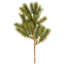 080118ho-961b-214x214.png