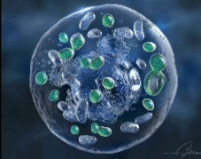 08011a2u-e30e-227x179.png