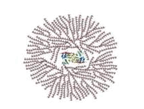 08011a6y-51e3-210x159.png