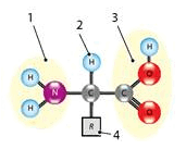 08011a8n-c960-171x137.png