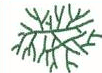 08011ab7-07aa-102x73.png