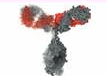08011abd-a999-107x76.png