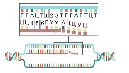 08011ap1-9ad7-426x241.png