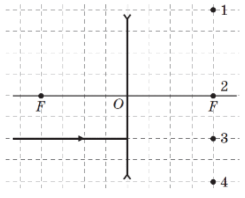 08011ary-3e62-486x394.png