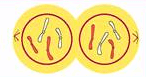 08011as3-bf5d-146x77.png
