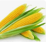 08011axd-c44c-161x149.png
