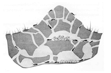 08011b25-3bc3-387x255.png
