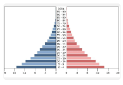 08011ccq-b371-246x169.png