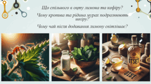 Оцтова кислота. Властивості та застосування