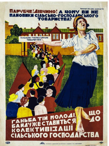 08011e6q-7948-360x483.png