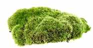 08011gj5-f3c6-187x98.png