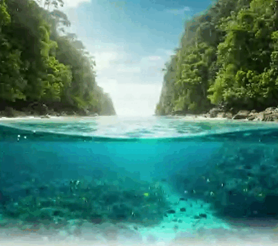 08011gst-4313-402x355.png