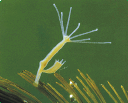 08011jf5-6ed4-440x353.png