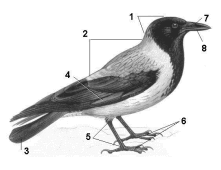 08011jui-519a-221x170.png