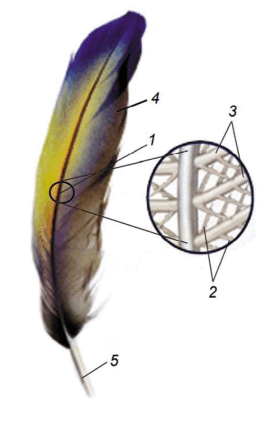 08011k3h-78d6-272x422.png