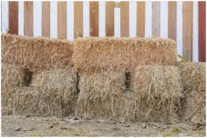08011nuu-4f12-301x201.png