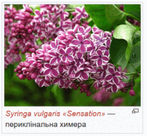 08011uq7-5fb8-209x194.png