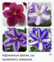 08011urx-b568-186x212.png