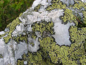 08012043-1e8d-330x248.jpg