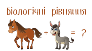 Біологічні рівняння. Застосування результатів біологічних досліджень
