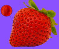 080128tc-0f9f-196x161.png