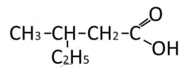 080129tn-3bf9-373x146.png